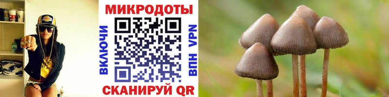 купить   Грязи  Псилоцибиновые грибы прущие грибы 